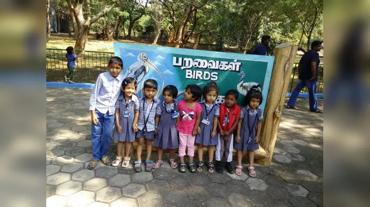 KIDS TREE MONTESSORI PRE SCHOOL